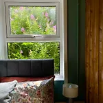 Studio Letterkenny